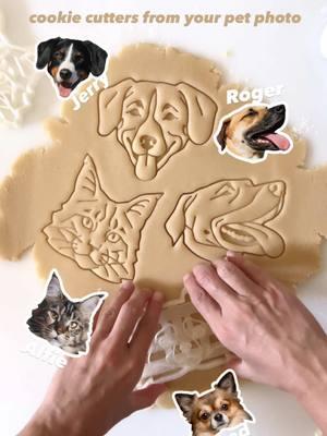 Custom cutter + Your pet = one cutest treat 😻 Whether it’s your dog’s goofy smile or your cat’s majestic whiskers, I will capture your pet sweetness and uniqueness in my cutters🫶❤️💫  Tag a fellow pet lover whose pet is too sweet to handle 🥰  . #petportrait #petcookies #petart  #appenzellersennenhund #maincoon #blackmouthcur #chihuahua #dogmom #dogdad #catmom #catdad 