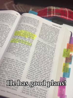 Jeremiah 29:11 #christian #christiantiktok #bible #verse #goodplans #truth #fyp #foryoupage 