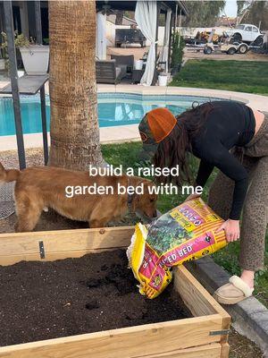 i’m a garden girl now 👩🏽‍🌾🪴🤍 leave any advice below! #fyp #foryou #raisedgardenbed #garden #gardening #gardendiy #DIY 