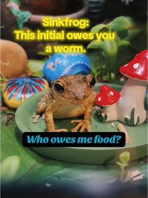 This initial owes you food, Sinkfrog! Eat it this time. We know you’re a carnivore!  #creatorsearchinsights #thisinitial #thisinitialowesyou #food #sinkfrog #frog #frogs #frogsoftiktok #feedingtime #worm #yum #carnivorediet #carnivore 