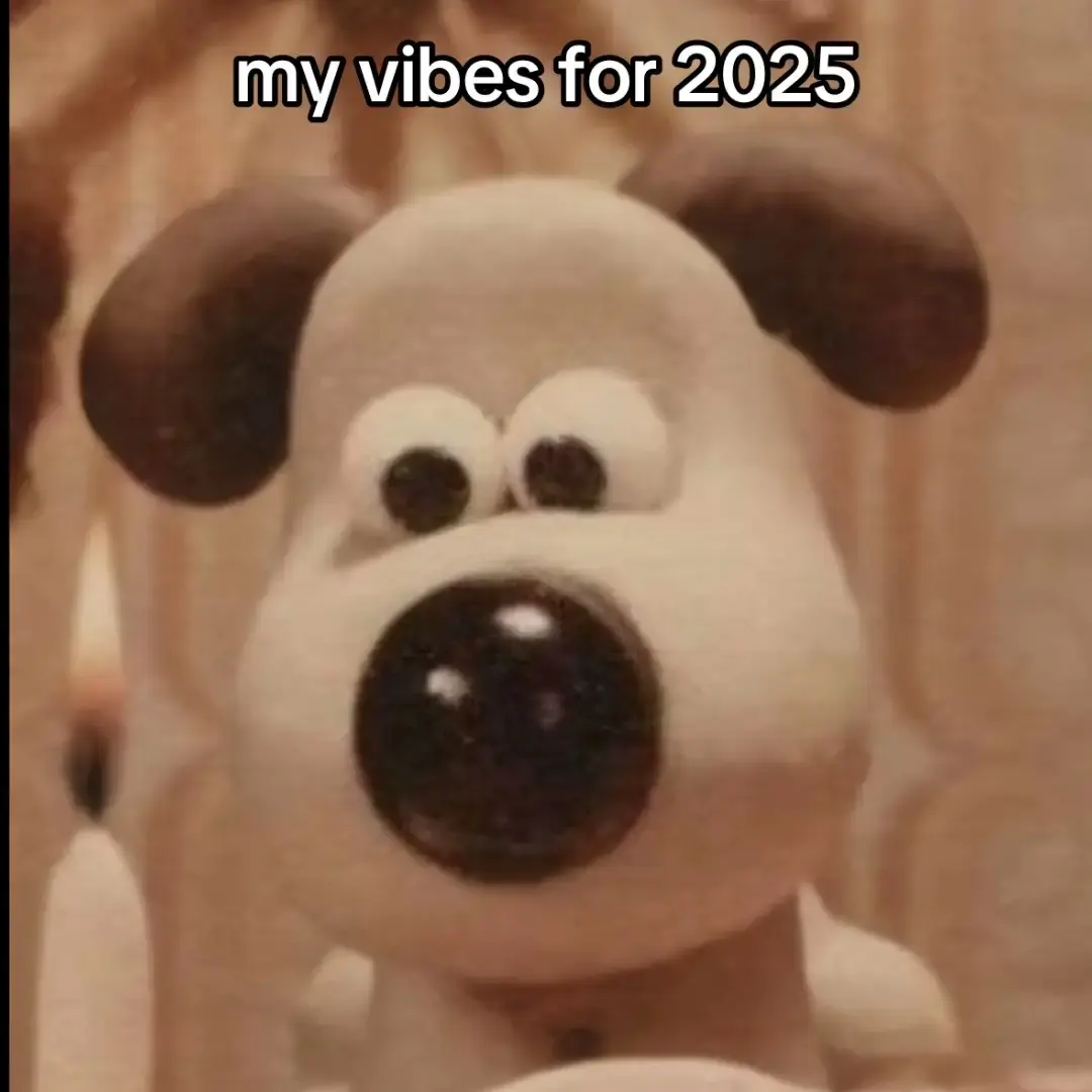 #wallaceandgromit #gromit #mecore #myvibes #2025 #fyp #fypシ 