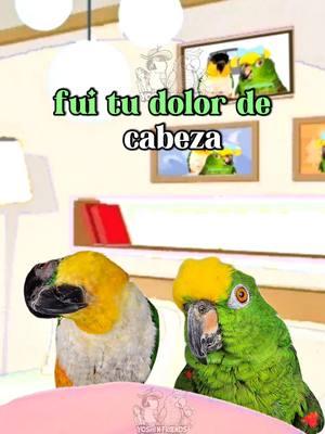 Si el año pasado fui tu dolor de cabeza#🤣🤣🤣  #videos #cortos #chistes #chiste #relajante #relajo #humormexicano #humor #comedia #risa #risas #lorosdetiktok #loro #parrotsoftiktok 