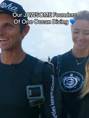 Our JAWSOME Founders, @Ocean Ramsey Sharks @juansharks 🙏🏽💙 Book your shark dive with us today on the North Shore of Oahu in Hawaii. You will learn more about the biology and behavior of sharks as well as have the opportunity to dive with them in their own home. Book today on oneoceandiving.com 🦈 ##sharks##sharkdiving##hawaii##sharktours##oahi##oceanramsey##a