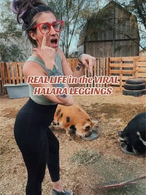 Halara SoCinched in real life action … They did the job, and the piggies approve! #halara #halaraleggings #socinchedleggings #TikTokShop #halaratiktokshop #viralleggings #leggingsoftiktok #reallifemom 