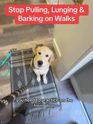 Stop Pulling Lunging & Barking #dogwalking #dogtrainer #dogproblems #doglover #dogtrainingtips #dogtips #dogtraining101 #clickertraining #dogclass #dogadvice 