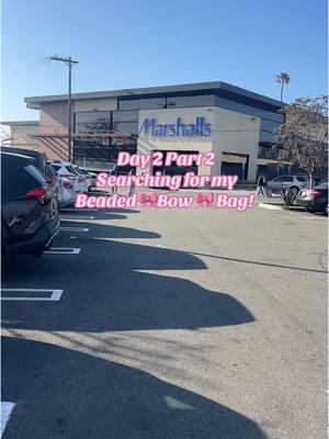 👀🤞🏾🎀 @Marshalls @TJ Maxx #marshallsfinds #tjmaxxfinds #bows #coquette #juicycouture #stevemadden #bags #onthehunt #shoptiktok #shoppingvlog #Vlog #comewithme 