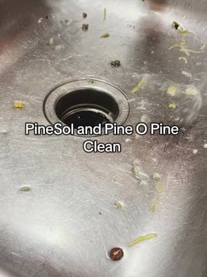 #pinelover #cleaning #motivation #asmr #pineopinecleaner #pinesol #asmrsounds #CleanTok #suds #sudsyasmr #cif #scrub #sinkscrubbingasmr 