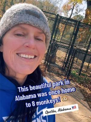 Fun for the whole family at Monkey Park in Opelika, Alabama! 🐵🇺🇸 #usa #gdayfromtheusa #america #park #opelikaalabama 