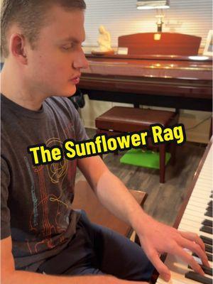 The Sunflower Rag🌻 Day 1,757 Feel Good Songs. Tyson brings us some ragtime goodness as he performs his own composition, The Sunflower Rag. #piano #blind #blindpianist #blindmusician #sunflower #ragtime #ragtimemusic #ragtimepiano 