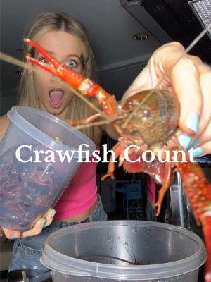 Another year, another crawfish count! 🦞✨ #crawfish #crawfishboil #seafood #fyp #southernliving Crawfish count, counting crawfish, crawfish prep, crawfish boil, seafood boil, crawfish tally, how to count crawfish, backyard crawfish boil, Louisiana crawfish, crawfish boil traditions, crawfish pot, seafood cooking, crawfish boil tips, fresh crawfish, live crawfish prep, crawfish haul, crawfish estimate, crawfish boil guide, seafood feast, southern Purging crawfish, cleaning crawfish, crawfish boil, crawfish boil recipe, seafood boil recipe, crab boil, how to do a crab boil, boiled shrimp, how to boil crawfish, crawfish prep, preparing crawfish, clean seafood, crawfish seasoning, seafood boil prep, crawfish boil ingredients, seafood boil steps, perfect crawfish boil, boiled crab, shrimp boil, crab boil recipe, how to boil shrimp, boiled seafood, Louisiana crawfish, southern crab boil, Cajun crawfish boil, shrimp boil recipe, seafood cooking, crawfish boil hacks, crab boil seasoning, shrimp boil seasoning, seafood boil spices, seafood boil tutorial, backyard seafood boil, crawfish boil essentials, seafood boil must-haves, purging live crawfish, seafood boil cleaning, shrimp boil tips, crab boil instructions, seafood boil guide, Cajun seafood boil, crawfish boil success, boiled seafood how-to, seafood boil perfection, southern seafood traditions, seafood boil techniques, seafood boil menu, crab boil party, crawfish boil checklist, shrimp boil how-to, crawfish dipping sauce, crawfish boil must-know, seafood boil pot setup, seafood boil methods, crab boil pot, how to boil crab, crawfish boil tips and tricks, seafood boil sides, perfect seafood boil, crawfish boil flavor, crawfish boil tradition, boiling shrimp guide, seafood boil process, Cajun shrimp boil, crab and shrimp boil, seafood boil extras, southern-style seafood boil, crawfish boil menu ideas, easy seafood boil recipe, boiled seafood seasoning, crawfish boil setup, seafood boil crowd-pleasers, seafood boil for beginners, how to season seafood boil, authentic seafood boil, crawfish, crawfish size, boiled crawfish, crawfish boil hacks, Cajun crawfish boil, crawfish cooking, seafood count, live crawfish, crawfish pile, crawfish boil entertainment, crawfish weigh-in, crawfish fun facts, crawfish trivia, paper seafood boil, paper crawfish boil, asmr, mudbugs, crawfishseason, Crawfishgirl, crawfish girl Madison, Madison’s mix, Madison’s crawfish seasoning, viral, fyp, Louisiana, New Orleans, burbon street, Nola, 504, Mardi Gras, Super Bowl, sugarbowl