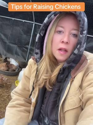 How you can help prevent frostbite in your backyard chicken flock This winter🐓❄️🥶  @Meyer Hatchery  #chickens #chickencoop #chickenkeeping #mhambassador #backyardchickens #smallfarm #winter #diyproject #creatorsearchinsights 