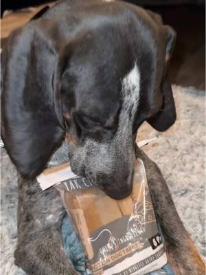 these all natural yak cheese treats are perfect for all us dog parents! kujo loves his!! #fyp #naturalingredients #dogtreats #mightypaw #natural