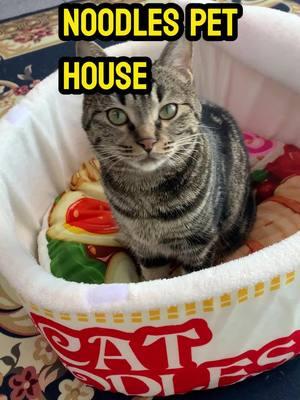 Do you think it’s a cup of noodles? Nope, it’s a cat bed!My cats love it! 🥹 #kitty #pethouse #cathouse #catbed #catroom #petbed #catmom #catsoftiktok #cat #noodlecathouse #catsoftiktok 