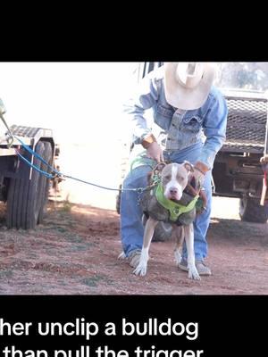 Change my mind. #hogdog #pigdog #huntingdog #hunting #workingdogs #hoghunting #bayedup #baydogs #caughthog #catchdog #tieduptv 