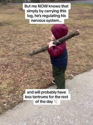 And that’s on the power of heavy work and sensory input for toddlers  👏🏻👏🏻👏🏻 #millenialmom #raisingtoddlers #toddlersoftiktok 