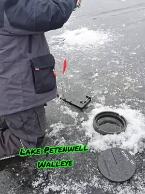 Geno with a Lake Petenwell Walleye.. #fyp #fishing #hardwater #wisco3 #icefishing #walleyes #walleyefishing 