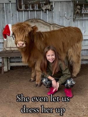 Santa sent a highland cow cuddling session and it DID NOT disappoint! If you are in the Houston Texas area,  do not miss out on this opportunity. Check out @ROSETherapeuticFarm and all their adorable animals! Such a fun and unique experience. Needless to say, we will be back. #cowcuddles #cowcuddling #adayonthefarm #highlandcow #minivlog #minicows #texas #babygoat #maple #cowtherapy #farmlife #goatyoga 