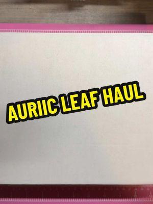 @AuriicLeaf Haul! Such beautiful supplies! Go check them out! There’s a 🔗 in my bio and you can use code: Kayla10 for 10% off of your order! ☺️ #journalingsupplies #scrapbookingsupplies #junkjournalsupplies #stickers #decorativepaper #stamps #kaynicjournals #jjcrewbesties #fyp #foryoupage #asmr 