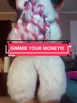 GIMMIE YOUR MONEY!! #fursuiter #catsuiter #countryfurry #furrytiktok #furryfandom #furriesoftiktok #crazycatmom #spongebobsquarepants #puthemoneyinthebag #money