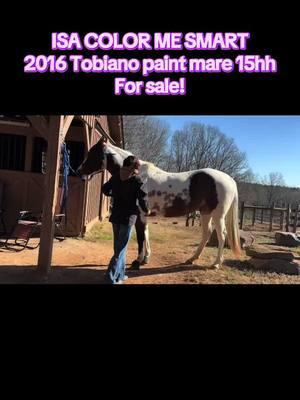 Located in Oxford Nc pm on Facebook for more info! #horsesale #horsesforsale