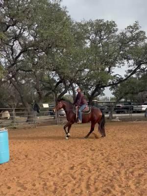 Check out my newest barrel prospect, Rita! I get her in the barn next week, and I’m so excited! 🤠 #texas #horsegirl #horsesoftiktok #foryoupage❤️❤️ #barrelhorse #cowgirl #western #ridinginstructor #foryoupage #horsebusiness #horsetrainer 