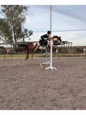 2 weeks off jumping and getting back in our groove 😂🥰  #apha #painthorse #jumper #barrelhorse #aqha #overo 