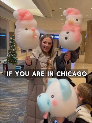 A must place to visit in Chicago! #chicago #chitown #chicagofamily #CapCut 