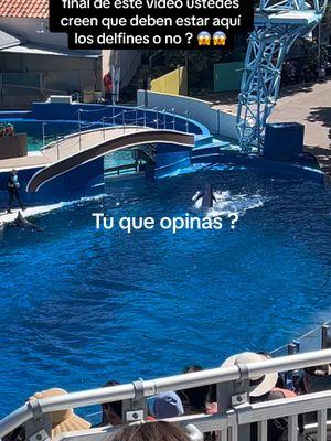 #lasvegas #sandiego #delfines #agua#seaworld 