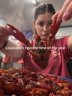 CRAWFISH SEASON BABY 🦞#crawfish #boiledcrawfish #seafoodboil #lousiana #louisianacrawfishboil 