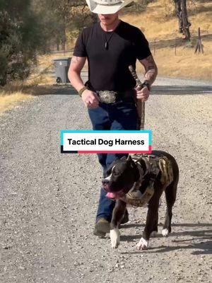 Tactical Dog Harness 🙌👀🚨🐾🐕 #dogvest #tacticaldogharness #nopulldogharness #doggear #puppyharness #dogaccessories #dogsofinstagram #dogsoftiktok #petproducts #creatorsearchinsights  Dog harness No pull dog harness Tactical dog harness Adjustable dog harness Reflective dog harness Small dog harness Large dog harness Puppy harness Dog harness with leash Dog harness vest