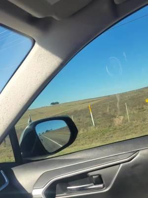 Driving through #glenrose texas. . #glenrosetexas  #dino #dinosaur  #jurrasicpark  #roadtrip #texas 