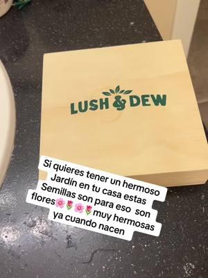 Si tú quieres tener un hermoso jardín en tu casa estas semillas son para eso flores muy hermosas🌷🌸🌷#lush#y#deam #flores #hermosas #viralvideo 