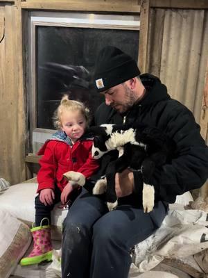 Knee deep in the middle of it. #glenmarfarms #farmherruth #sheep #lamb #dad #dadsoftiktok #girldad #farmlife #farmer #farmkids 