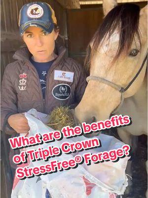 Clinician, Mary Miller Jordan,  explains the benefits of #StressFreeForage . What is it used for? It’s ideal for traveling, right before you go riding, during a busy show season and any time your horse is in stressful situations. The #alfalfa forage base and digestive package helps keep their gut feeling well. Go check it out! ##horsehay##alfalfahay##stressedout##showhorses##performancehorses##TripleCrownFeed##feedinghorses##marymillerjordan