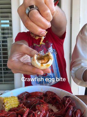 Crawfish egg bites w that homemade sauce🤤🦞 should I repost my recipe??? #crawfish #crawfishseason #crawfishmukbang #seafoodmukbang #seafood #nola #eatingcrawfish #crawfishlouisiana #louisiana #louisianacrawfish #crawfishboil #mukbang 