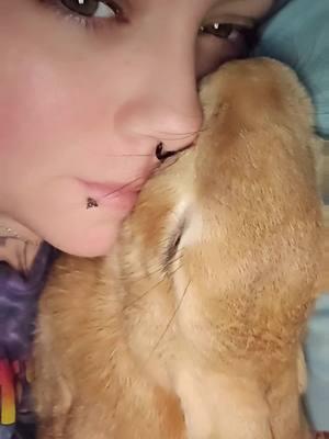 I love her so much. I dont care if she sleeps on my face😅🥰 #bunny #fyp #pet #flemishgiant 