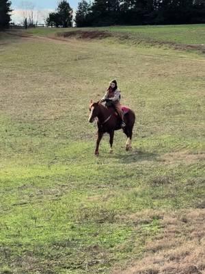 Obsessed #cowhorse #cowbred #aqha #gelding #horses #fyp #equine 