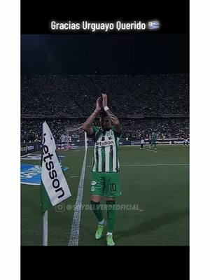 Regresaste para cumplir el sueño de salir campeón con el Verde Gracias Cepellini 🏆🏆🟢⚪️ #soydelverde #atleticonacional #futbolcolombiano #soydelverdesoyfeliz #vamosnacional #vamosmiverde 