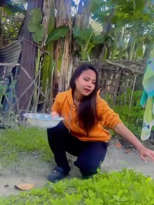 Ghar Ka Chota Sa Vegetable Garden 🥰💃🏻 #reels__tiktok  #reels  #Love #viral #explore #foryou #follownow