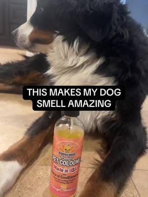 My animals smell so good with this! #PetCologne #FreshSmellingPets #PetCare #PetCologne #FreshSmellingPets #PetCareEssentials #FurBabyCare #PetGroomingProducts #OdorControl #HappyPets #SoftAndFresh #PetFriendlyCare #PamperedPets #LuxuryPetCare #PetHygiene #SafeForPets #PetFreshener #CleanAndFreshPets #PetParentLife #FurFriendlyCare #SpoilYourPet #PetLoversMustHave #PetCareGoals #GroomingEssentials #FurBabyLove #PetCareRoutine #PetOdorControl #FreshAndCleanPets 