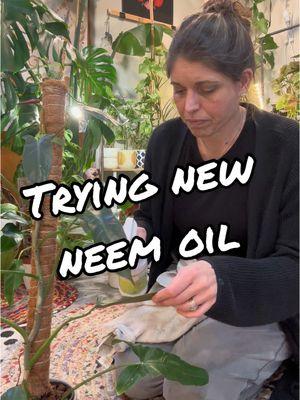 Definitely smells better than most! #smartgrower #neem #neemoil #plantcare #plants #houseplants #plantlover #plantlife #TikTokShop #fyp #citronella #peppermint #insecticide #fungicide 