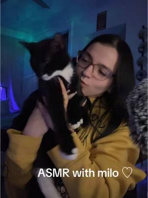 we've got a new member of the family 🖤 hes so perfect;( #asmr #asmrsounds #asmrvideo #asmrcat #catasmr #cutecat #purringasmr