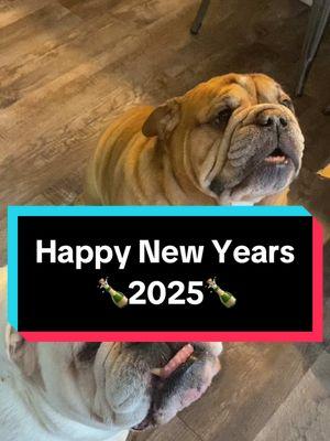 Happy 2025 a little late. What is your family New years tradition? #2025newyear #newyeartradition #porkandsauerkraut #creatorsearchinsights 