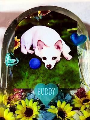 This is a Memory Block showcasing a loving pet named Buddy. We love our pets like children so why not make them a Memory Block?  I also made a companion piece. This canvas has the same image and is completely covered with acrylic. Together they make a beautiful display. #acrylicartbysharon #epoxyresinart #acrylicart #flowersinresin #memorialart. @highlight @everyone @follower #memoryblock #flowersinresin #flowerpreservation #petlover 