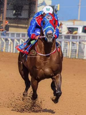 #pasioncarrilera📲🏇💨 #carrerasdecaballos❤️😍🐎🥇🏆🎖 #puracuadraperrona🍀🏇 #viral #carrerasdecaballos 