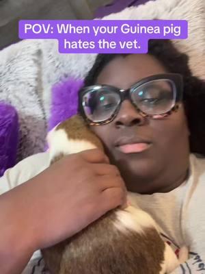 #fyp #foryou #guineapigsoftiktok #sweetanimals #funnyanimals #smallpetsoftiktok #exoticpets #drdolittle #karaandfrankie 