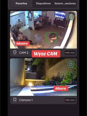 WYZE CAM #wyzecam #wyze #wyzecamv4 #security #securitycamera #camarasdeseguridad 