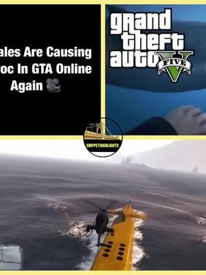 Whales Are Causing Havoc In GTA Online Again 🎥 #gtav #gtab #grandtheftauto #viral #rockstargames #gtaonline #online #gtamoneylobbies #gtaphotography #gtamoney #gtavonline #gtamoneyglitch #playstation #gaming #gtamodder #xbox #gtamoddedaccountsforsale #gtamods #gtacommunity #savewizard #gamer #xboxone #duplicationglitch #gtafive #gtamoneylobby #gtacars #savewizardoutfits #rockstareditor #gtamoneyglitches #rockstar 