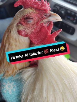 The AI is so smart but it can't generate me a Sebright rooster apparently... #AIFail #grok #FailArmy #sebrightrooster #rosecomb #fyp #turbo #turbotherooster #roosterboy #roosterboytotherescue #chickensoftiktok #roostersoftiktok 