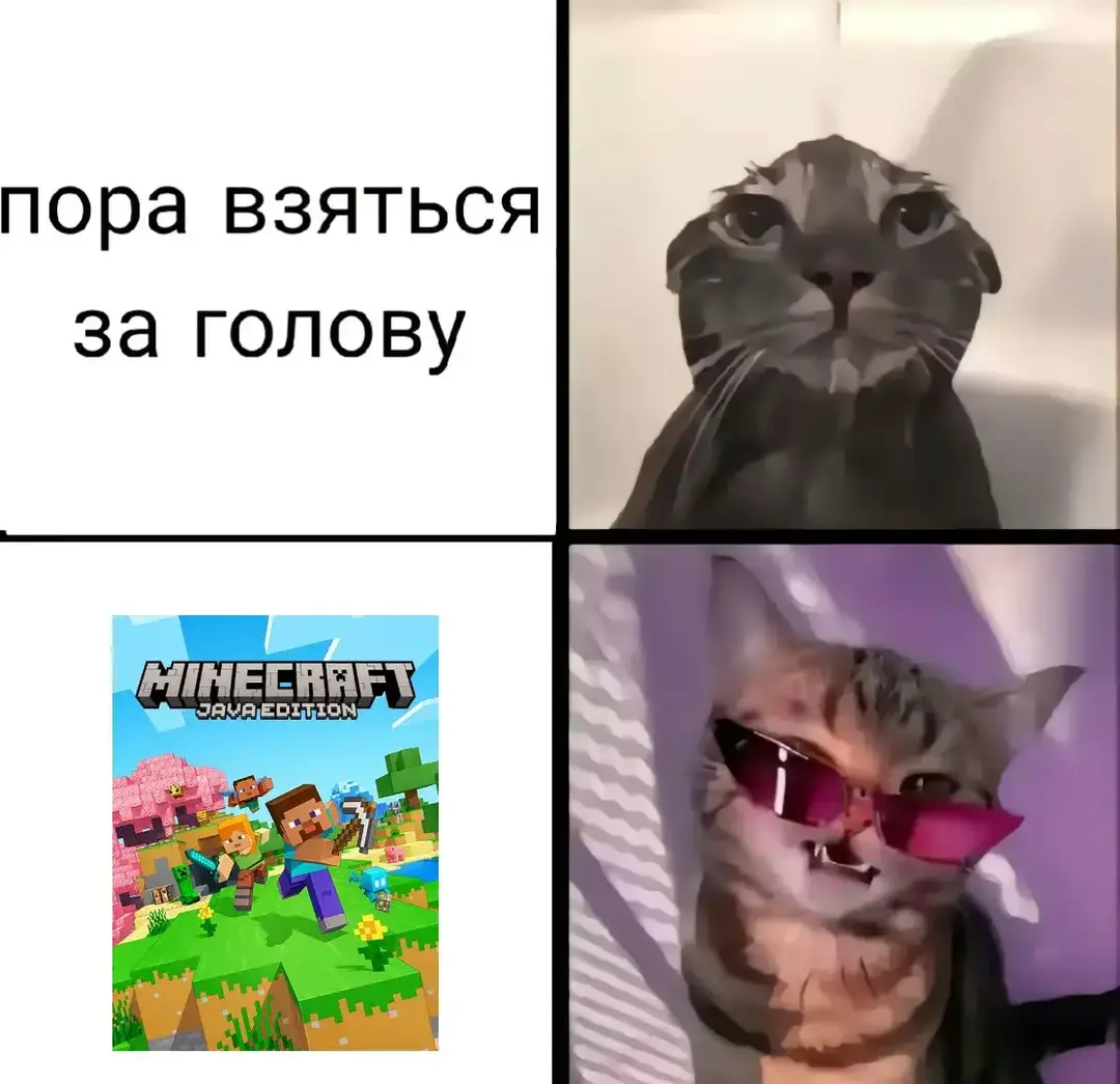 да похуй, повзрослеть успею #Minecraft #forest #theforest #sonsoftheforest #warthunder #gaijin #squad #hoi #hoi4 #Wot #rge #memes @temka @Дикий ишак228 